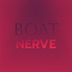 Various的专辑Boat Nerve