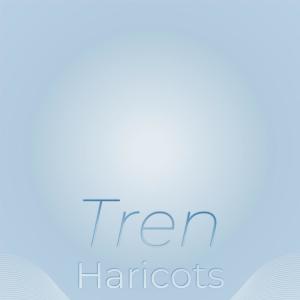 Various的专辑Tren Haricots