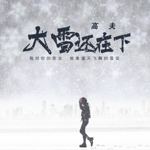 Album 大雪还在下 from 