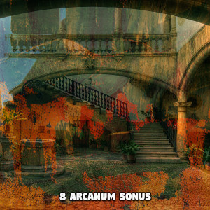 Album 8 Arcanum Sonus from Guitar Instrumentals