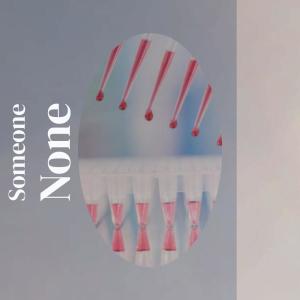 Various Artists的專輯Someone None