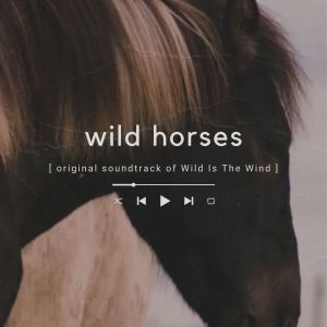 Dimitri Tiomkin的專輯Wild Horses (Original Soundtrack of Wild Is The Wind)