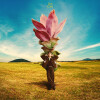 default album img