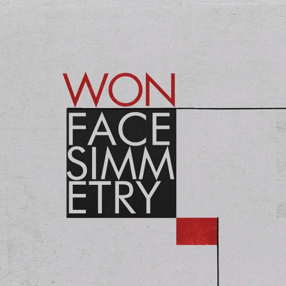 Face Simmetry