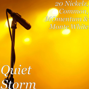 Quiet Storm (Explicit) dari Common