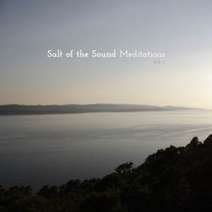 ดาวน์โหลดและฟังเพลง Home to You (Instrumental) พร้อมเนื้อเพลงจาก Salt Of The Sound