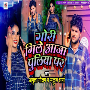Album Gori Mile Aaja Puliya Par from 