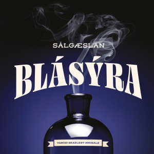 Dengarkan Vandamálið mitt lagu dari Sálgæslan dengan lirik