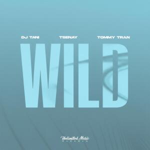 Album Wild (Tommy Tran Remix) from DJ TANI