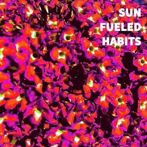 Album Sun Fueled Habits oleh Necci