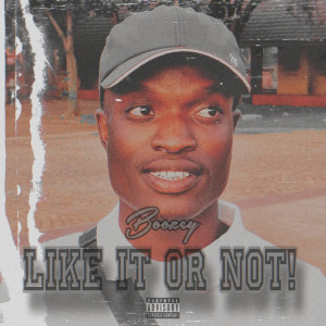 Album Like It or Not! (Explicit) from Boozey