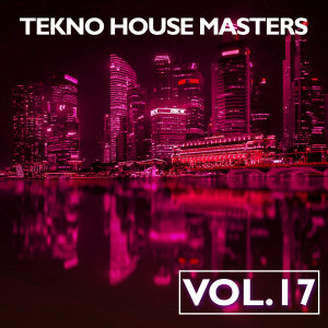 Various的專輯Tekno House Masters, Vol. 17