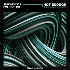 Listen to Not Enough song with lyrics from Subshock
