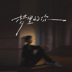 Album 梦里的你（梦里的梦梦里的你） from 莫叫姐姐