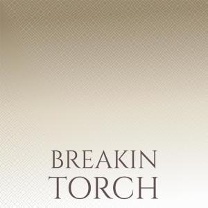 Dengarkan lagu Breakin Torch nyanyian Hary Dicky dengan lirik