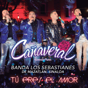 收聽Grupo Cañaveral De Humberto Pabón的Tú Eres El Amor歌詞歌曲