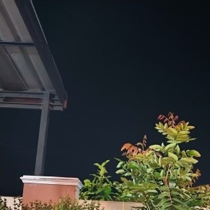 Surya的專輯Maafkan diriku sayang