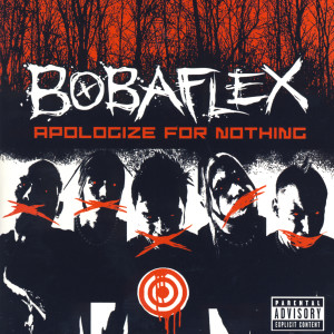 ดาวน์โหลดและฟังเพลง Better Than Me พร้อมเนื้อเพลงจาก Bobaflex