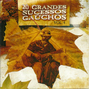Various Artists的專輯20 Grandes Sucessos Gaúchos  Vol. 4