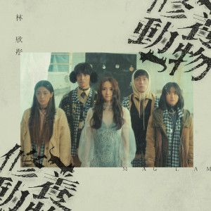收聽林欣彤 Mag Lam的修養動物歌詞歌曲