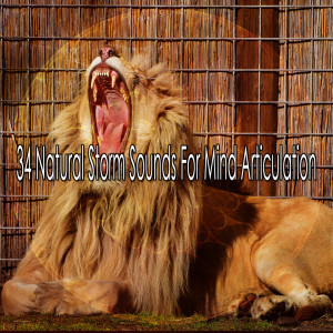 Listen to Electric Rain song with lyrics from Ambient Rain