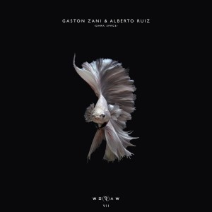 Listen to No Weakness song with lyrics from Gaston Zani