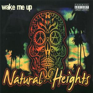ดาวน์โหลดและฟังเพลง Wake Me Up (Explicit) พร้อมเนื้อเพลงจาก Natural Heights