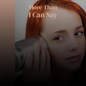 收听Bobby Vee的More Than I Can Say歌词歌曲