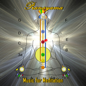 อัลบัม Pranayama: Music for Meditation ศิลปิน Meditation Music Experts