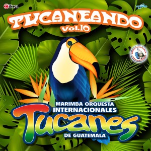 ดาวน์โหลดและฟังเพลง Amor a Primera Vista พร้อมเนื้อเพลงจาก Marimba Orquesta Internacionales Tucanes de Guatemala