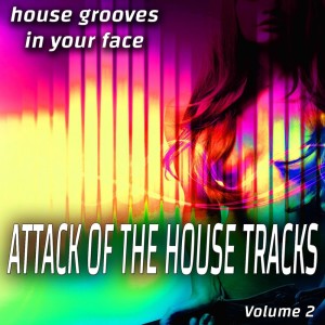 Various Artists的專輯Attack of the House Songs - Vol. 2 - House Grooves in Your Face