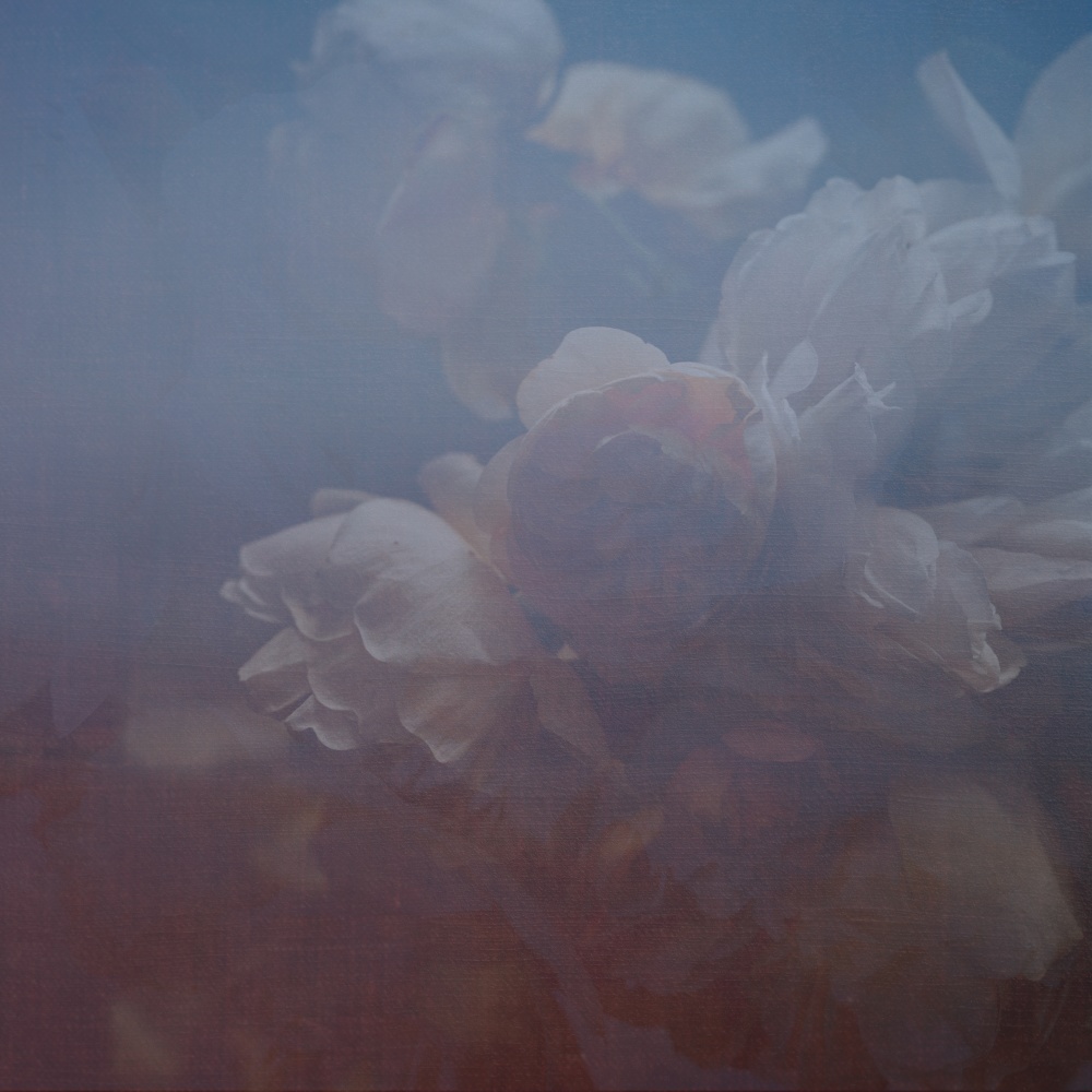 Relic