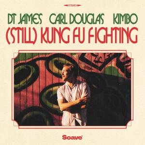 收听DT James的(Still) Kung Fu Fighting歌词歌曲