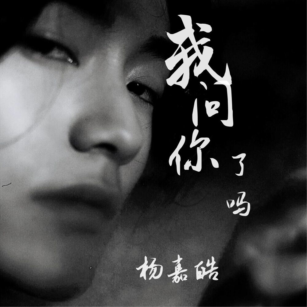 我问你了吗