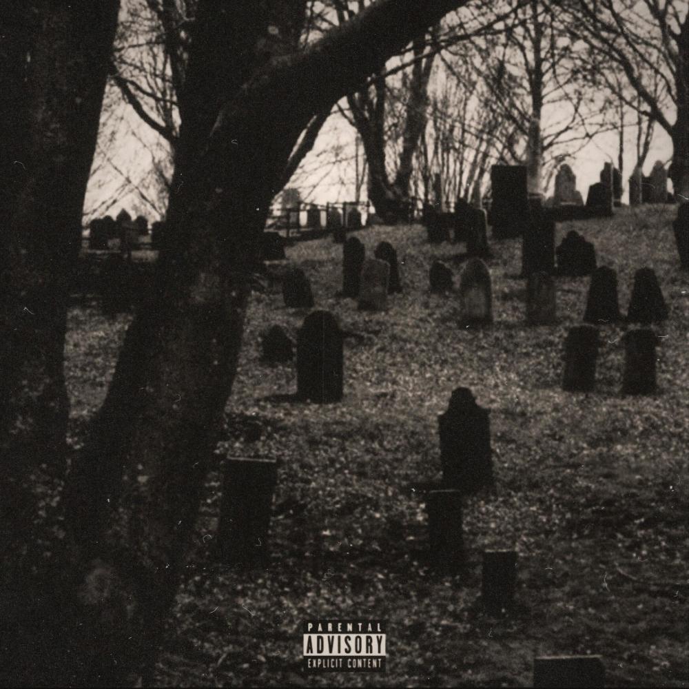 Sunny Light (feat. Pj Bruh) (Explicit)