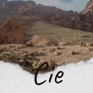 收听Colea Lydie的Spoil Whatsoever歌词歌曲