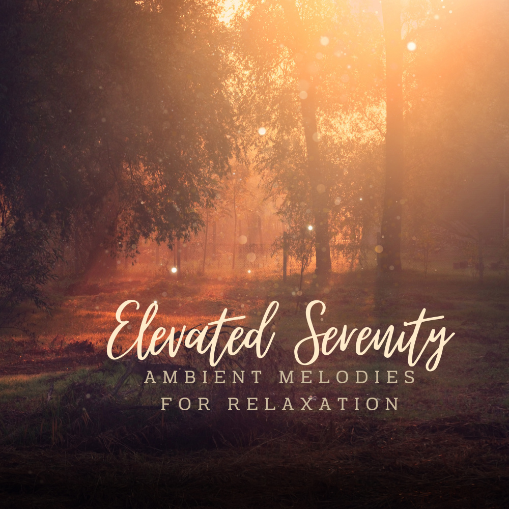 Enchanted Tranquil Melodies