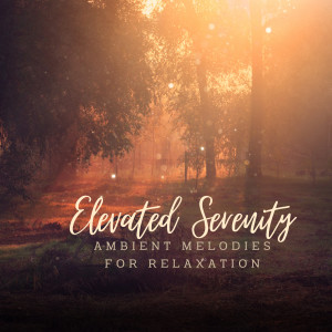 อัลบัม Elevated Serenity: Ambient Melodies for Relaxation ศิลปิน Star Age