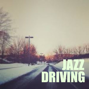 Dengarkan lagu Indiana Winter nyanyian Coleman Hawkins dengan lirik