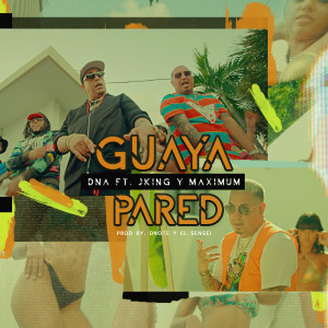 อัลบัม Guaya Pared (feat. J-King y Maximan) ศิลปิน DNA