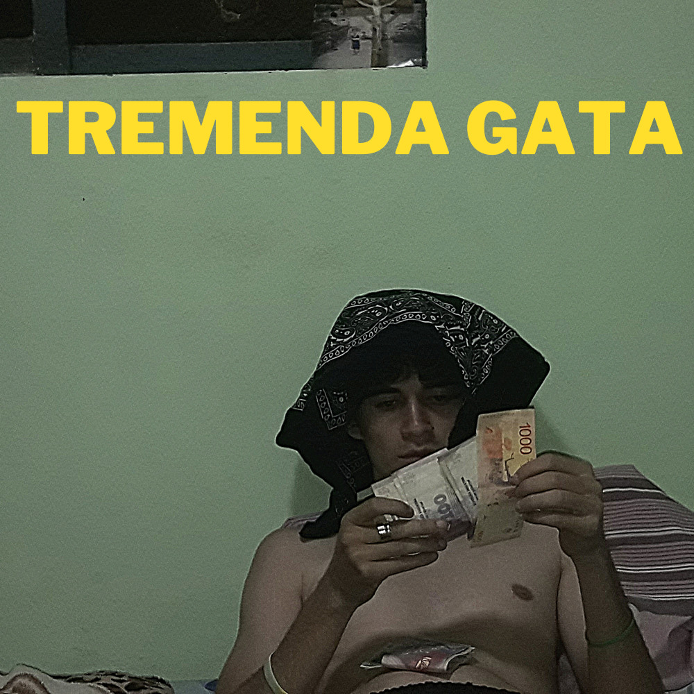 Tremenda Gata