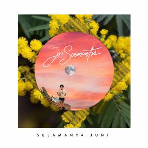 Dengarkan Selepas Hujan lagu dari Junior Soemantri dengan lirik