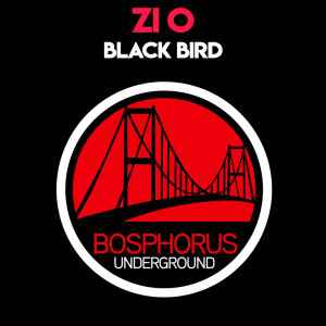 收聽Zi O的Black Bird歌詞歌曲