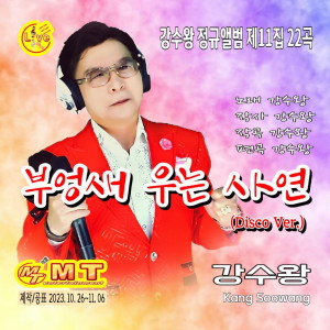 Album 강수왕의 제11집 부엉새우는사연 Disco Ver. from 강수왕