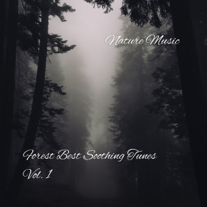 Nature Music: Forest Best Soothing Tunes Vol. 1