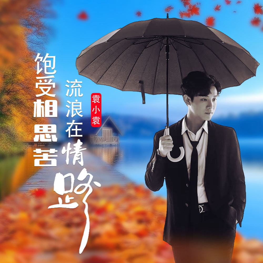饱受相思苦流浪在情路