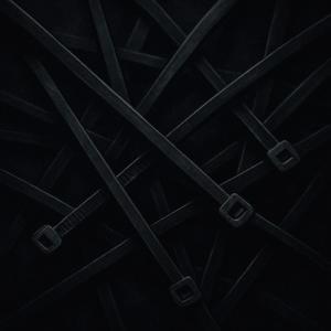 TAV的專輯Zipties (Explicit)