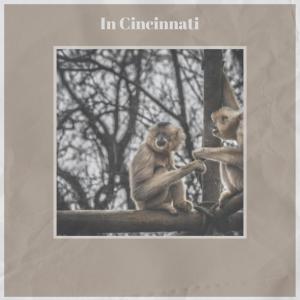 Listen to In Cincinnati song with lyrics from Royas Warre