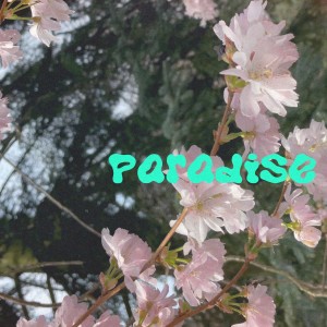 Album Paradise from Morning Midnight