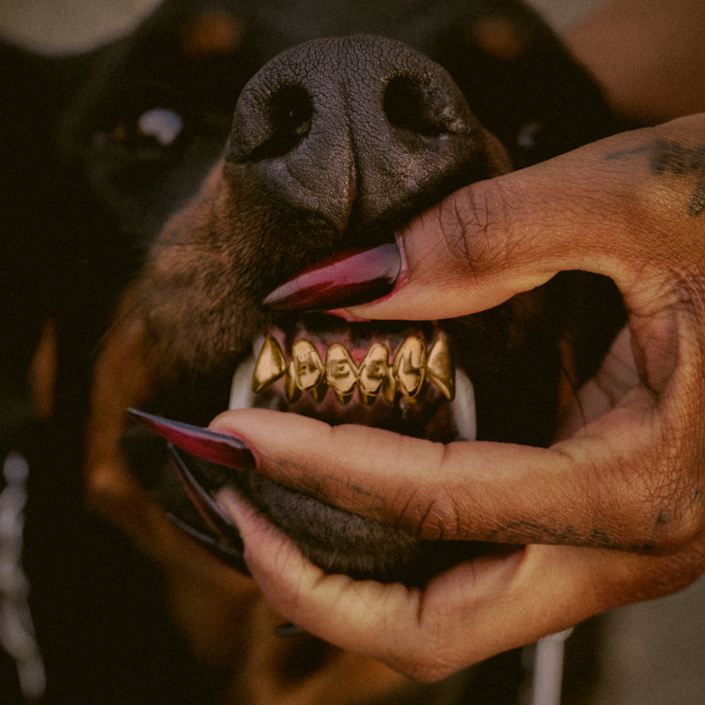 MUTT (Remix)